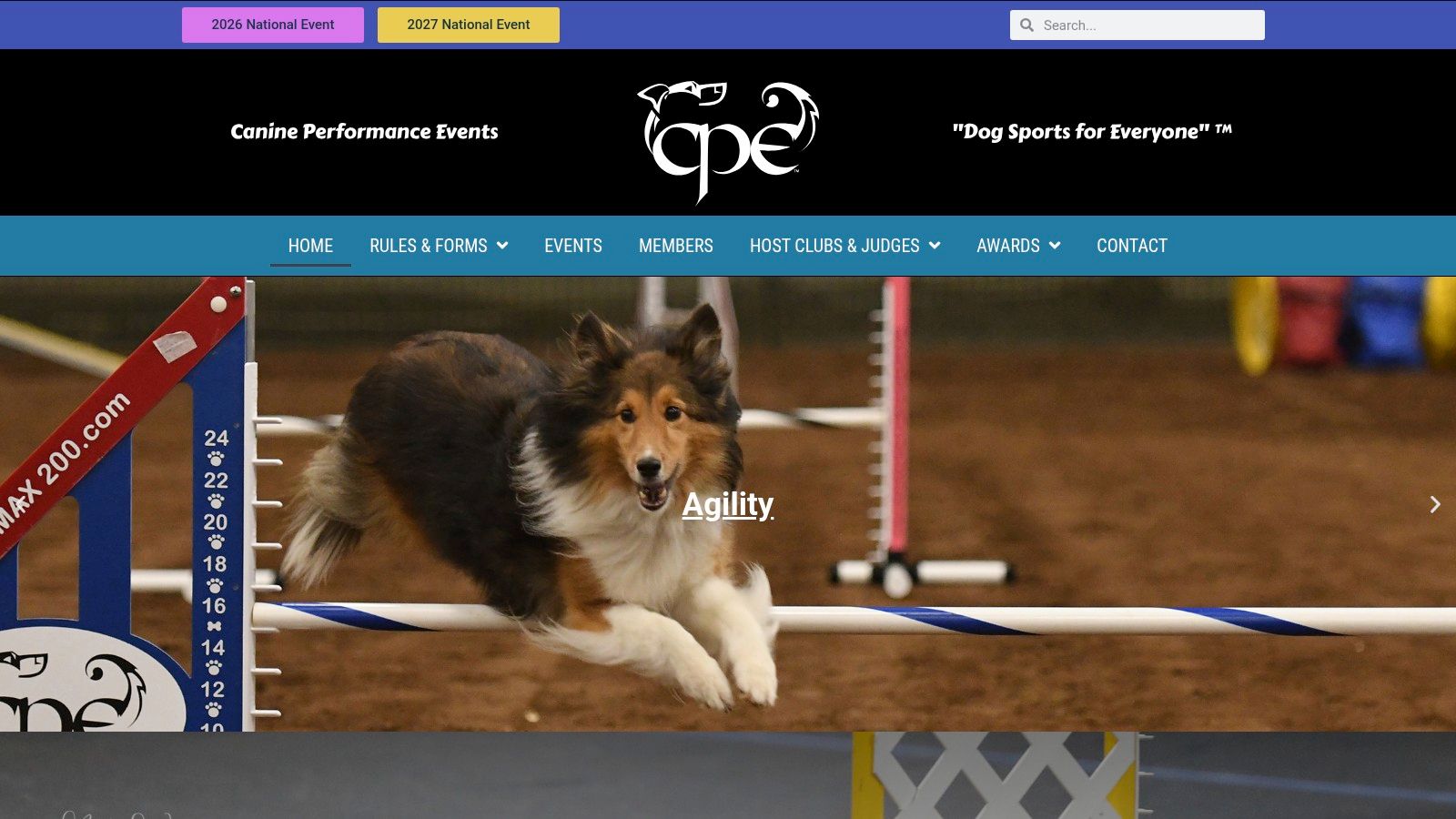 A dog jumping through a tire in an agility course, representing the types of activities found through CPE.