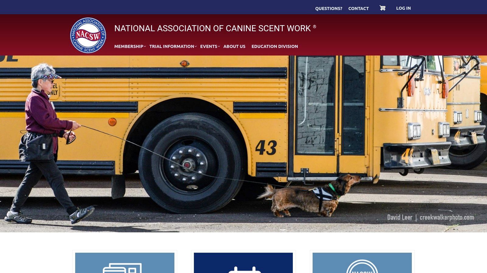 NACSW – National Association of Canine Scent Work