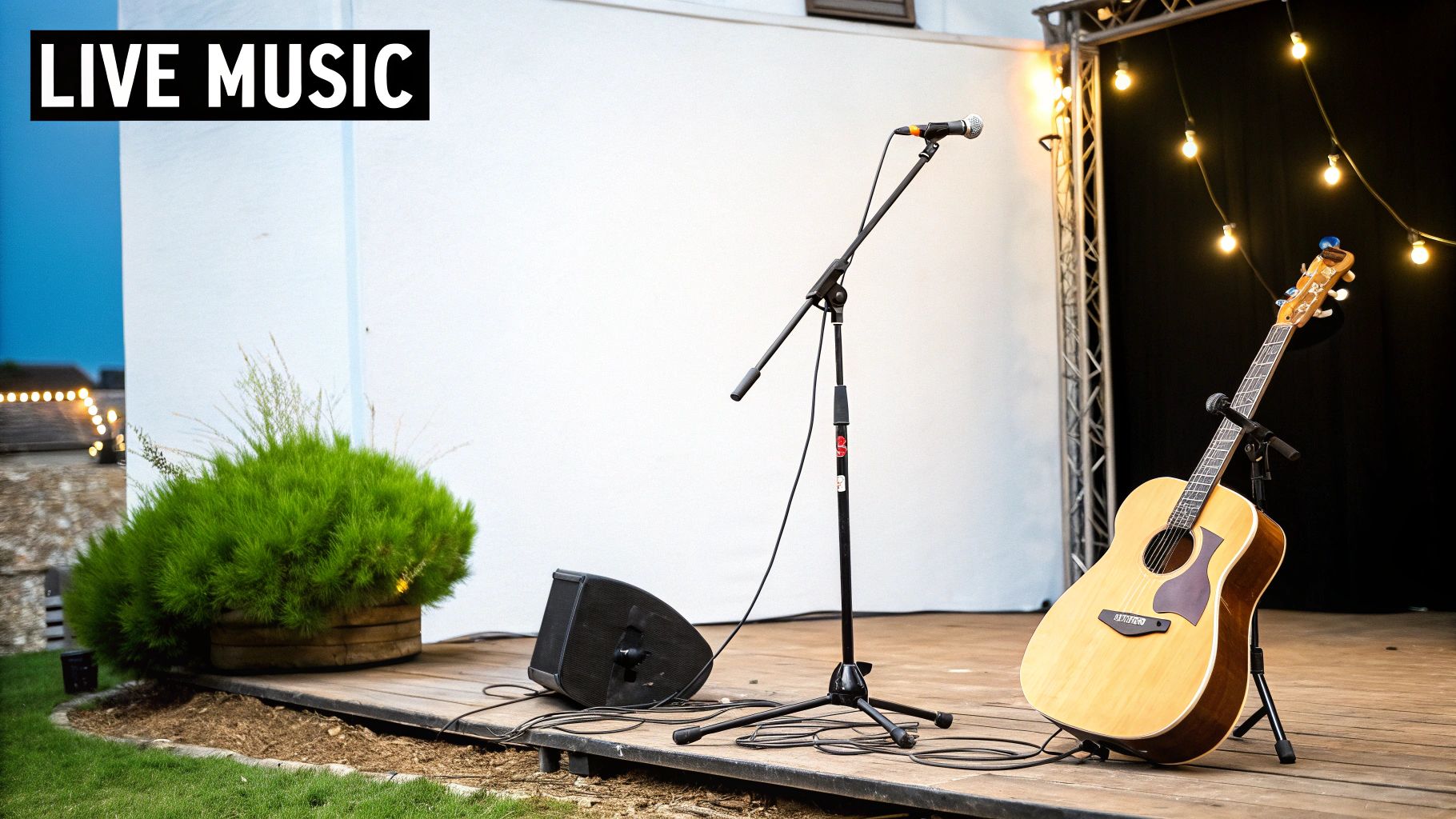 Experience Austin's Live Music Scene