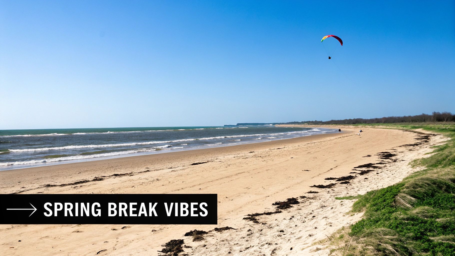 A vibrant beach scene with ocean waves, green dunes, and a paraglider flying under a clear sky.