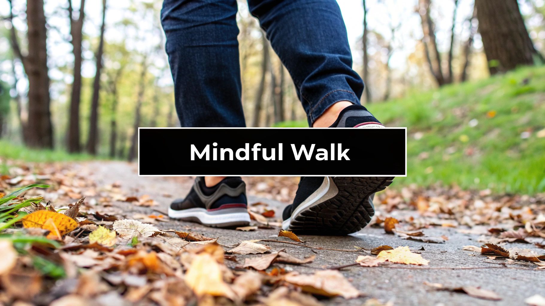 Mindful Walking