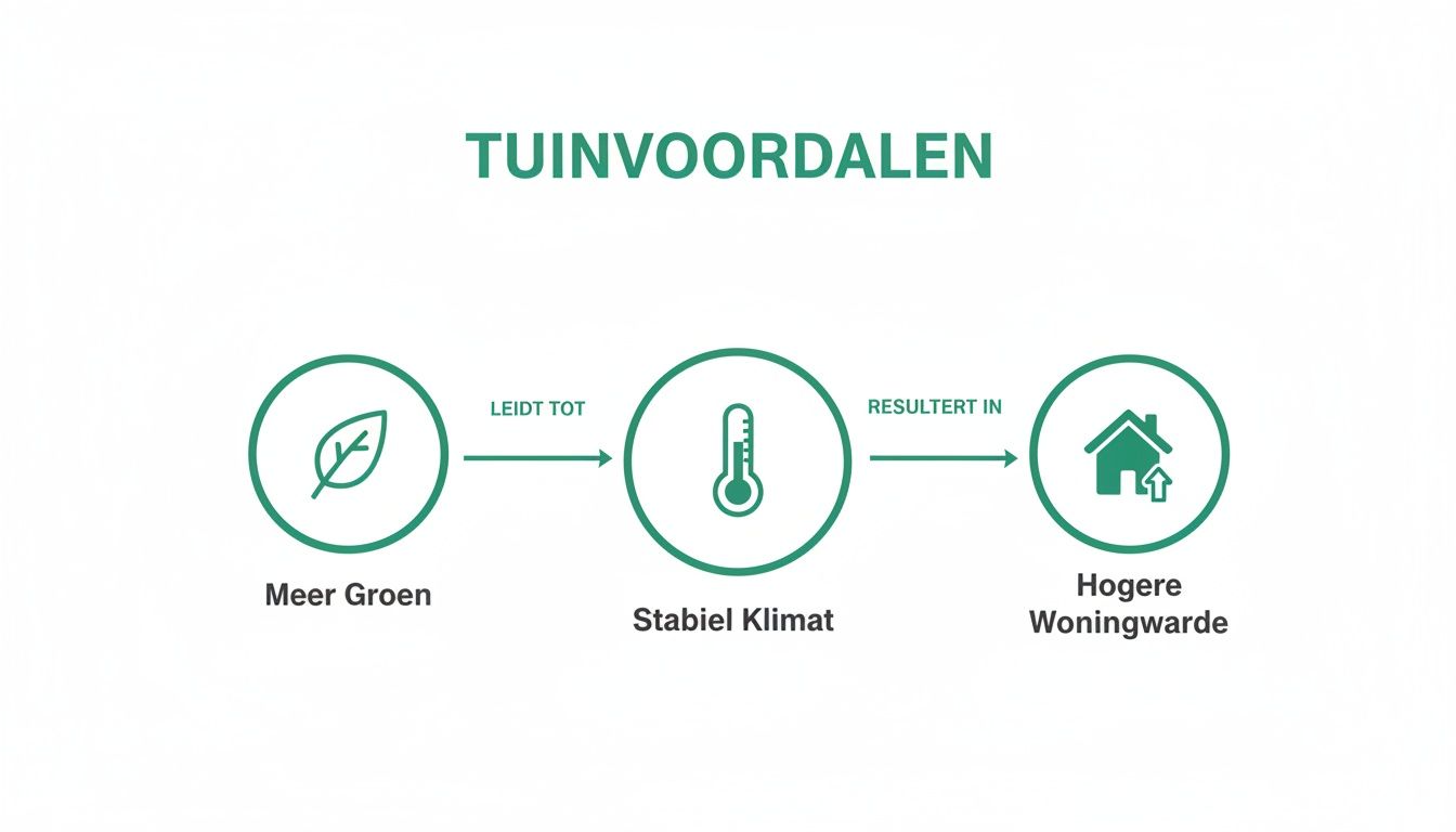 Diagram dat de voordelen van een tuin toont: meer groen leidt tot een stabiel klimaat en hogere woningwaarde.