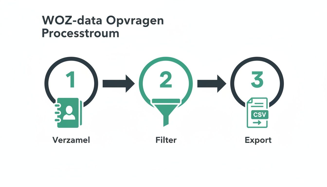 Screenshot exportopties