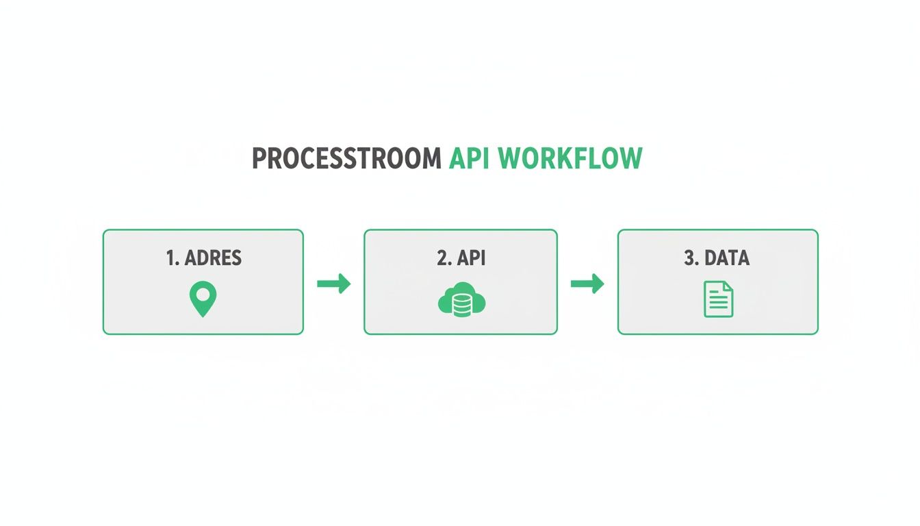 Een workflowdiagram voor de Processstroom API, dat stappen toont voor adresgegevens, API-aanroep en dataverwerking.