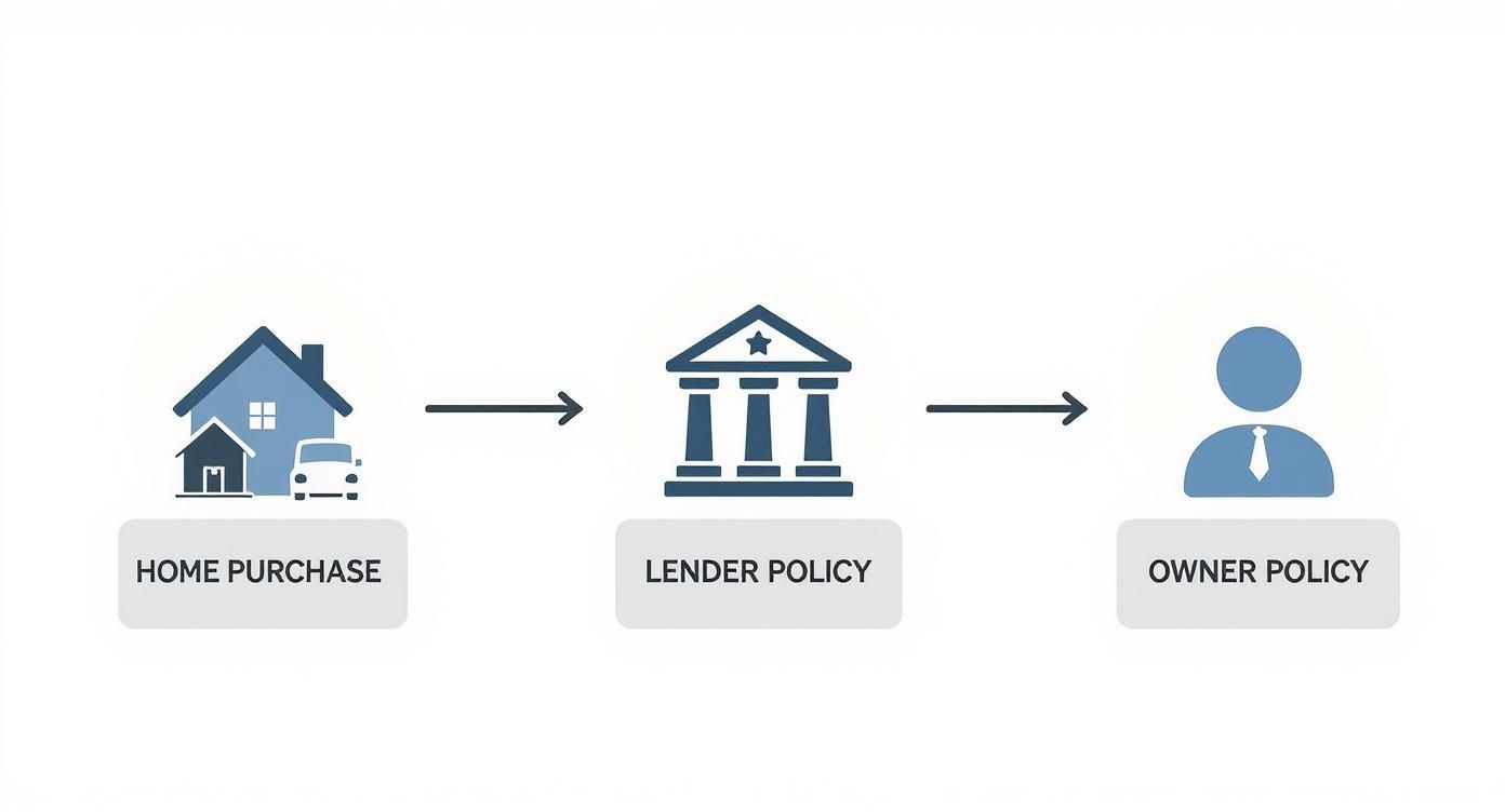 Infographic showing the process from home purchase to securing a lender's policy and an owner's policy.
