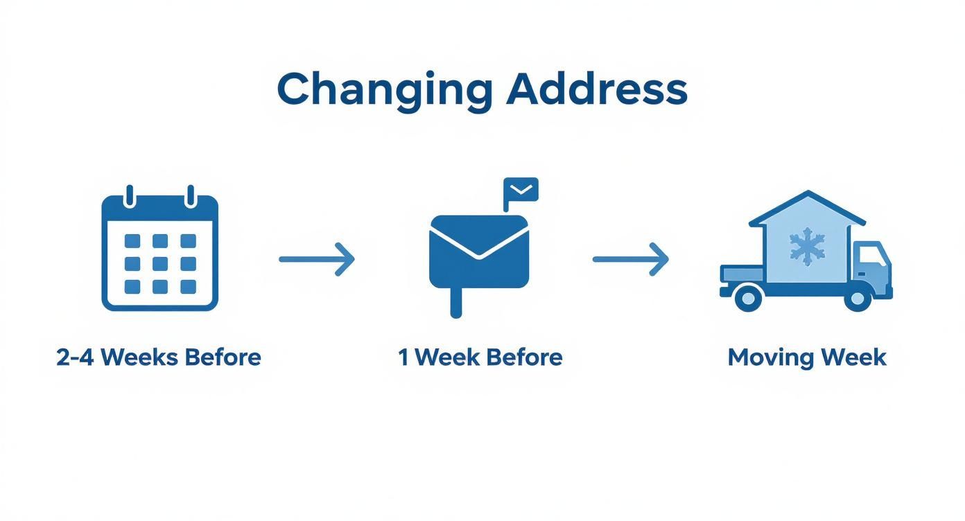Infographic about how to change address when moving
