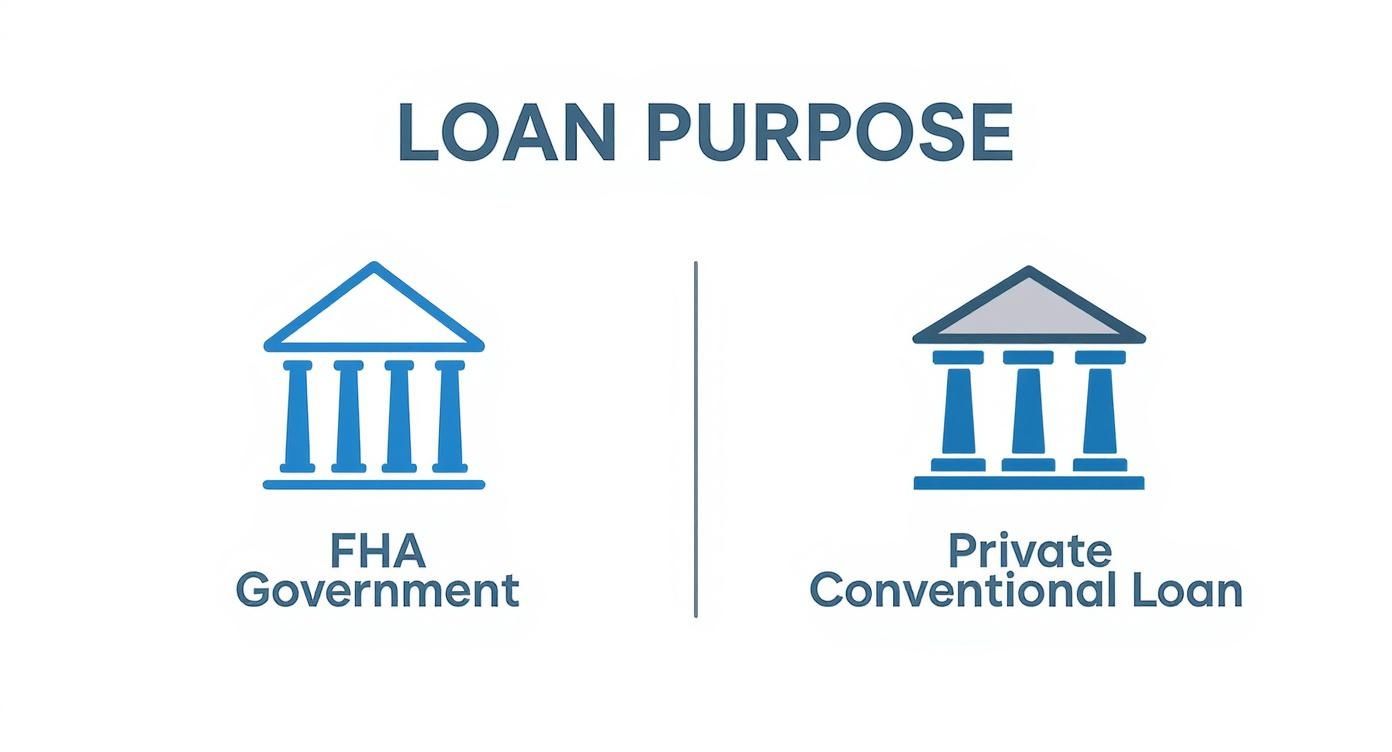 Infographic comparing the government backing of FHA loans to the private backing of conventional loans.