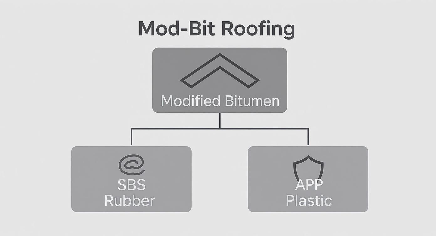 Infographic about what is modified bitumen roofing