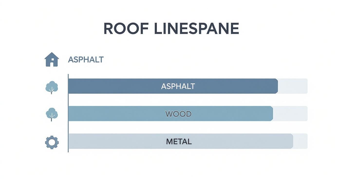 Infographic about how long does a roof last