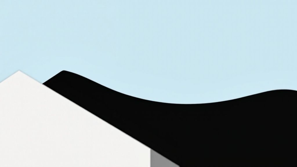Sagging Roof Areas