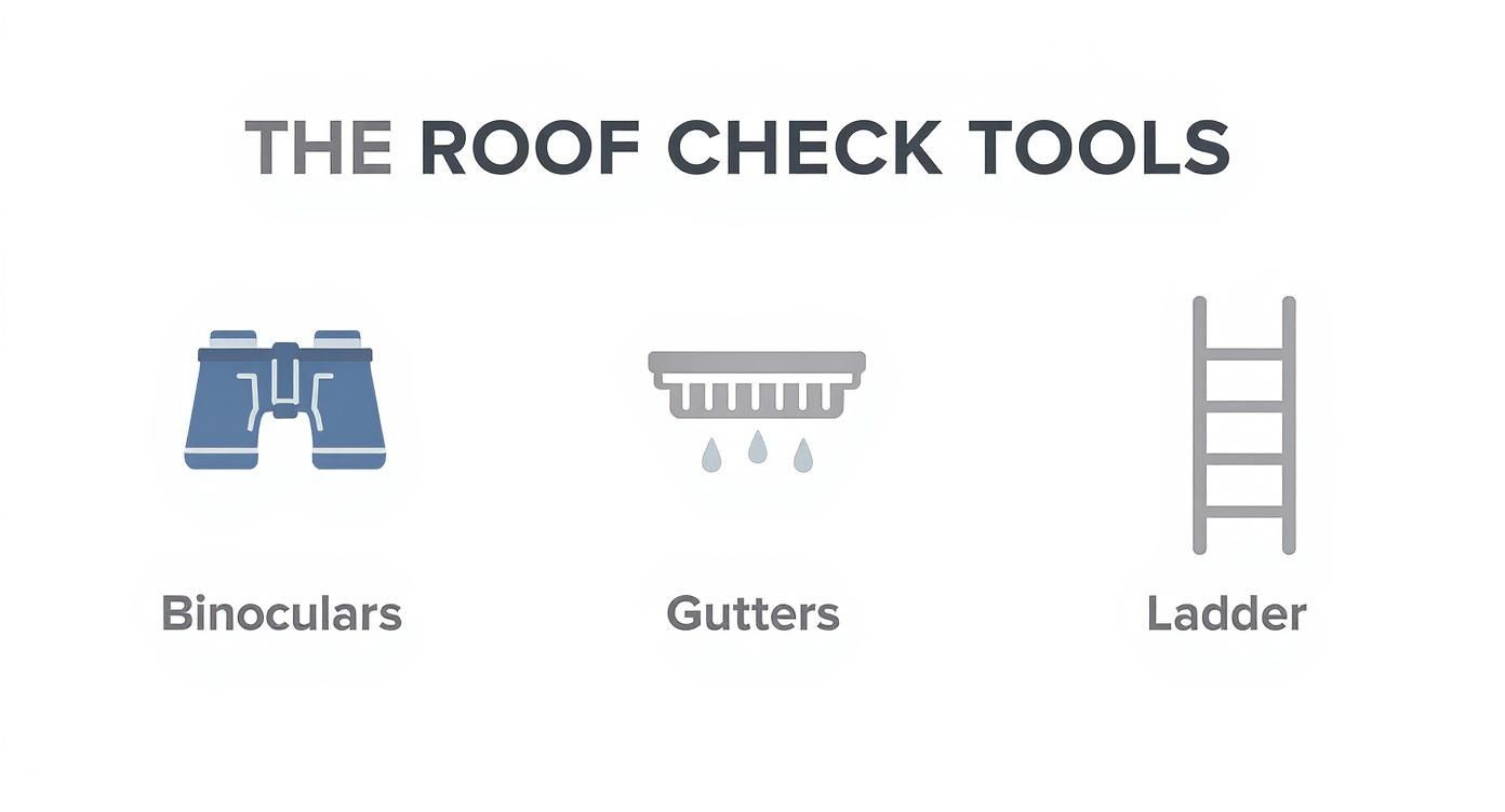 Infographic about cracked roof tiles Lake Worth