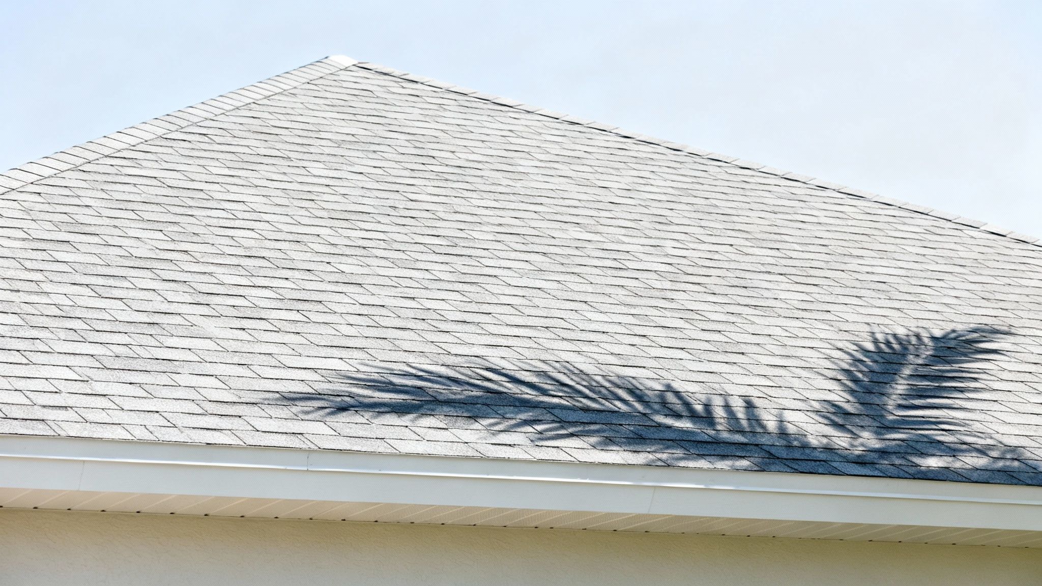 Asphalt Shingles: The Sunshine State's Go-To Choice