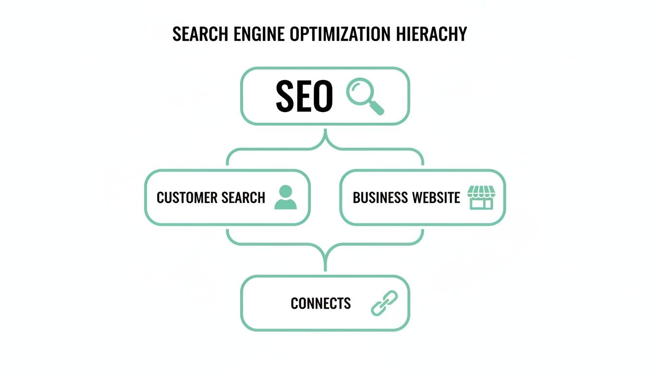 Diagram showing the Search Engine Optimization hierarchy: SEO connects customer search and business websites.