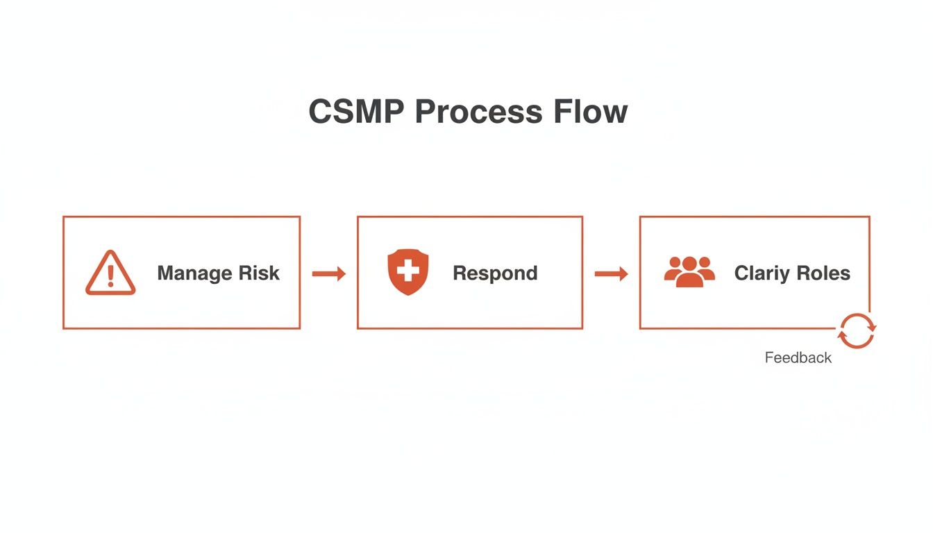 CSMP Process Flow diagram illustrating steps: Manage Risk, Respond, and Clarify Roles, with a feedback loop.