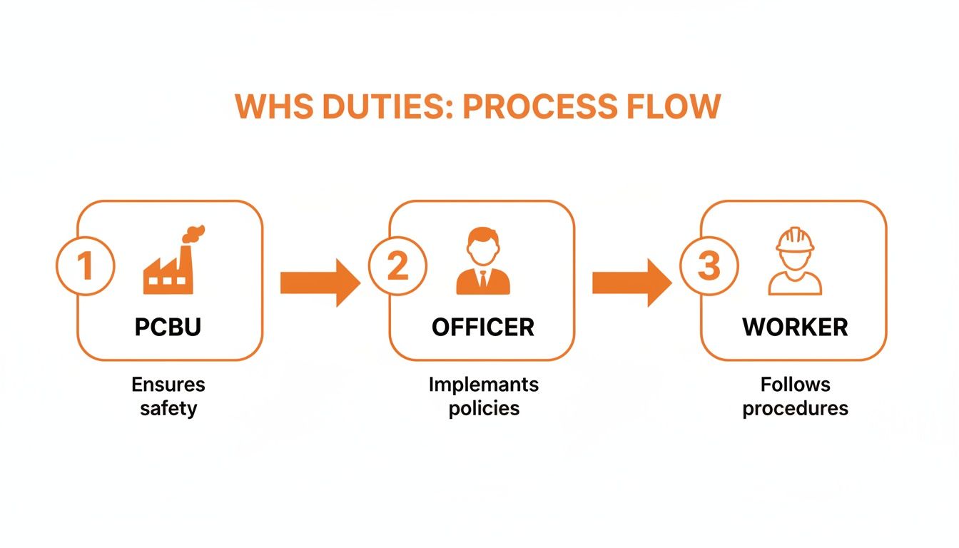 A WHS duties process flow diagram illustrating roles: PCBU ensures safety, Officer implements policies, Worker follows procedures.