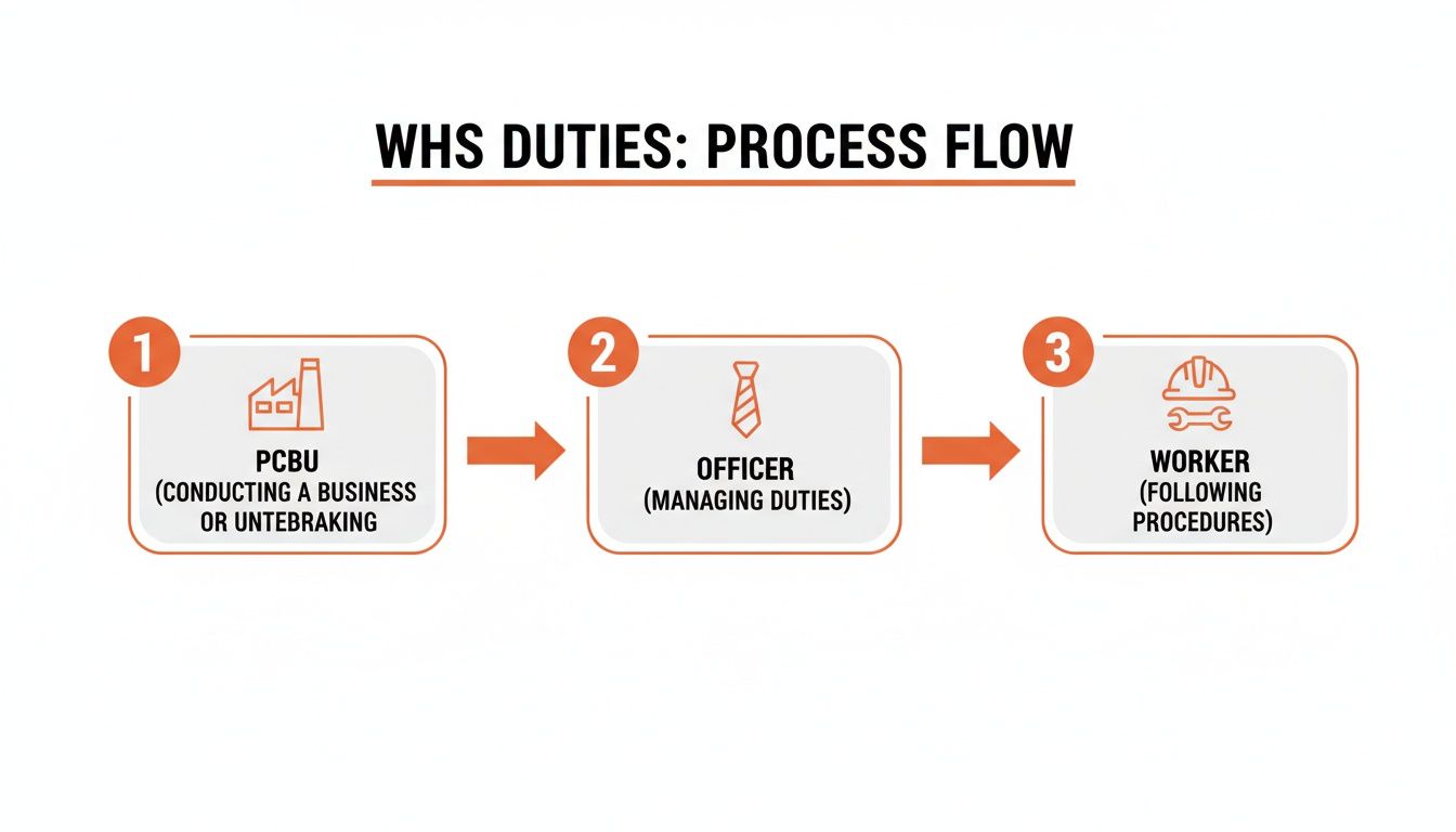 Process flow diagram showing WHS duties from PCBU to Officer and then to Worker roles.