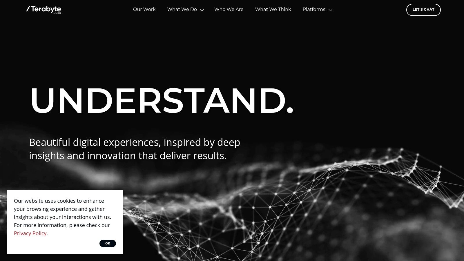 Terabyte website showcasing their portfolio of work with major NZ brands