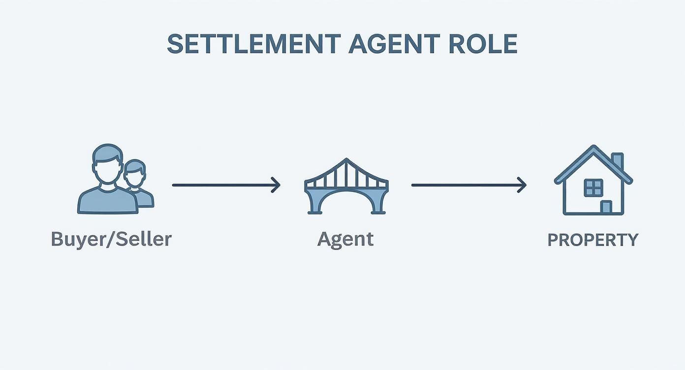 Infographic about what is a settlement agent