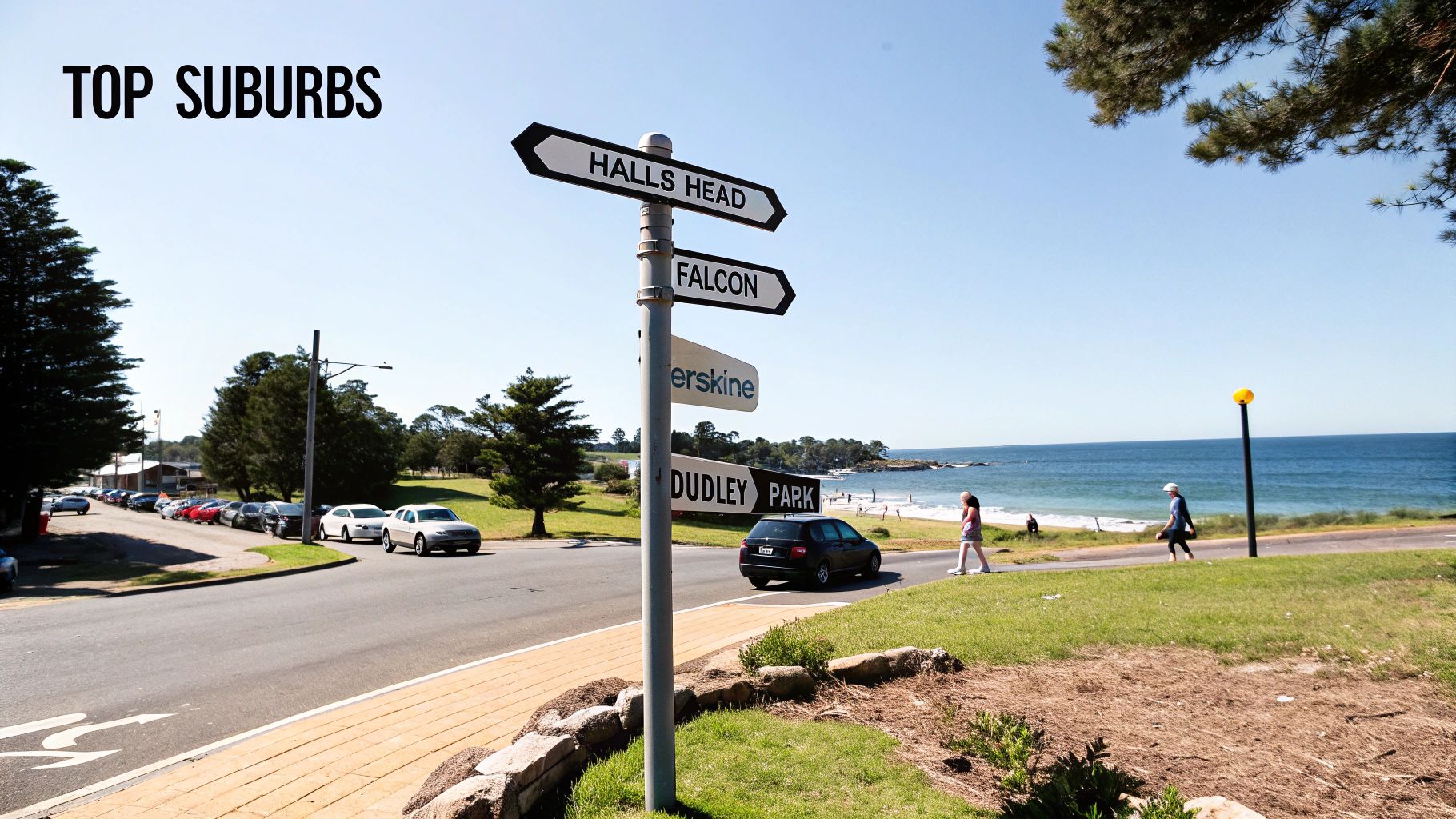 A scenic, sunny street in a Mandurah suburb with modern homes and palm trees.