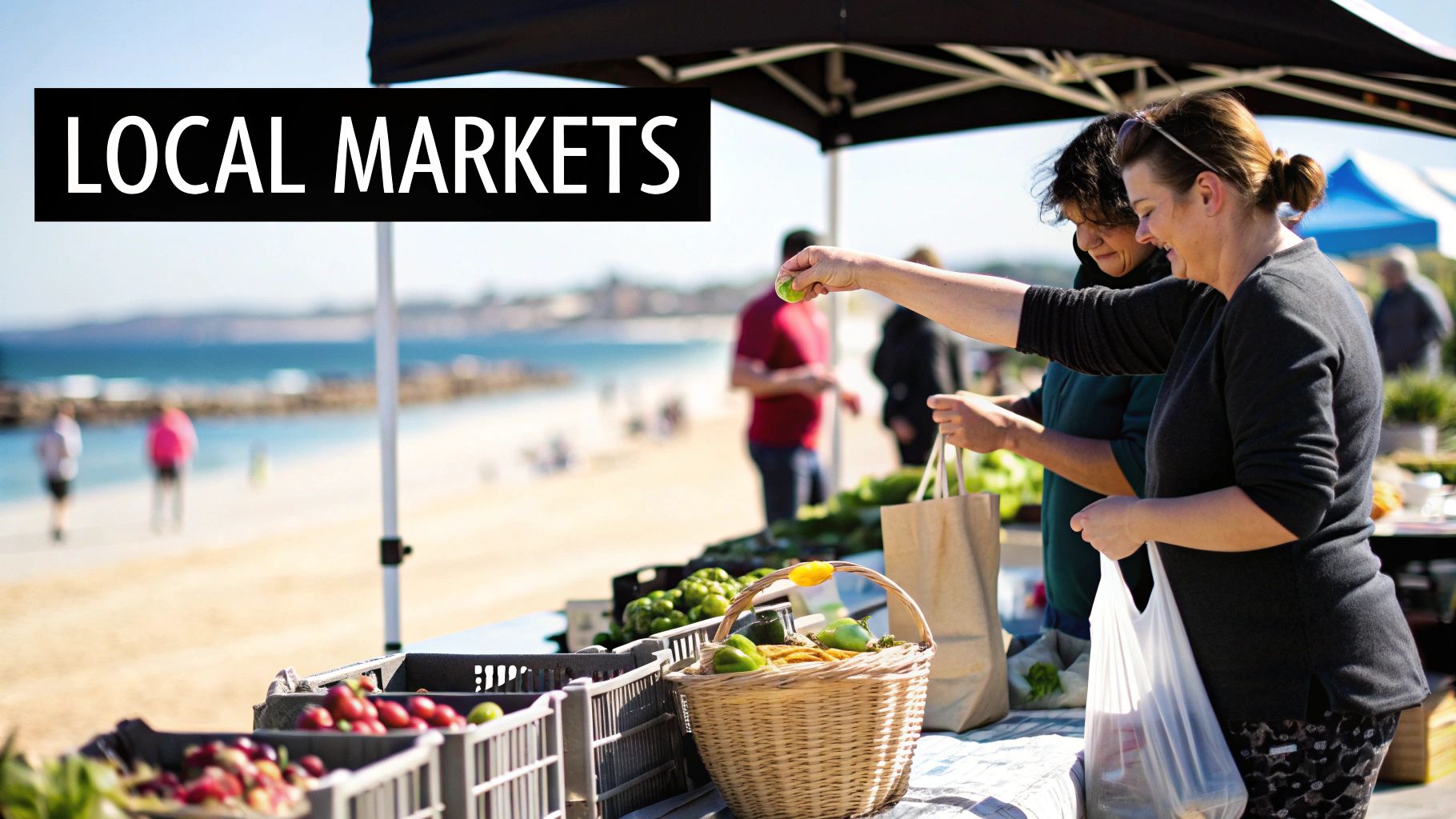 Local Markets & Shopping Districts