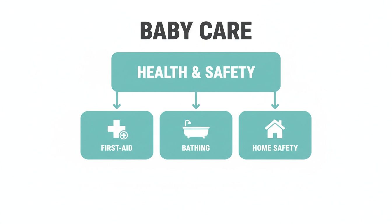A diagram outlining baby care health and safety topics: first-aid, bathing, and home safety.