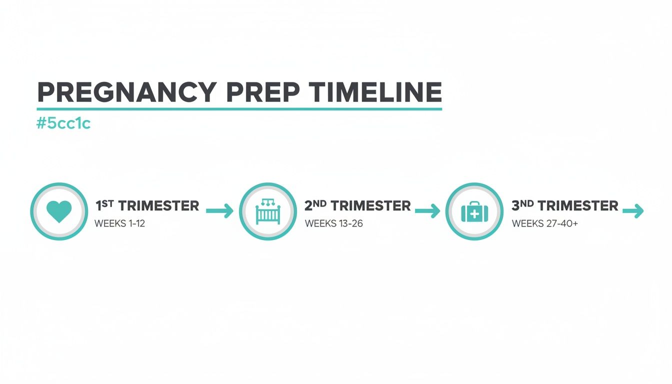A pregnancy preparation timeline illustrating the 1st, 2nd, and 3rd trimesters with corresponding week ranges and icons.