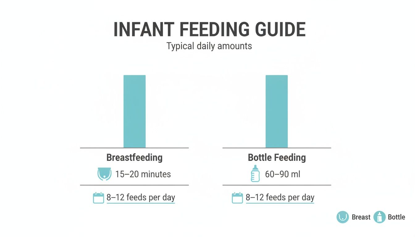 Infographic about newborn schedule sample