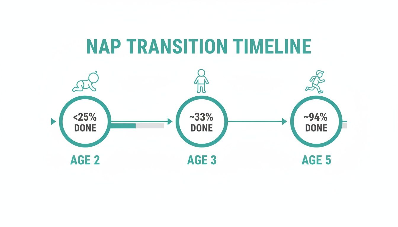Timeline illustrating children's nap transition from age 2 to 5, showing progress percentage.