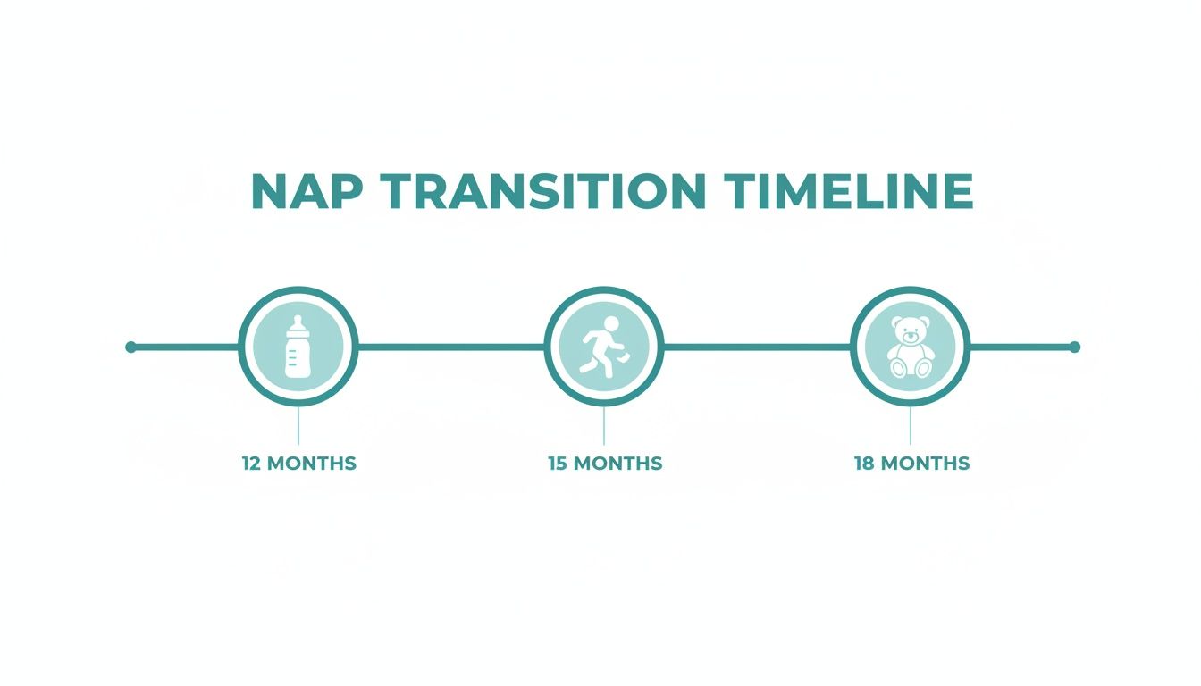 Nap transition timeline for babies, showing milestones at 12, 15, and 18 months.