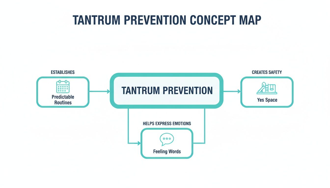 A concept map showing tantrum prevention supported by predictable routines, a 'yes space', and feeling words.