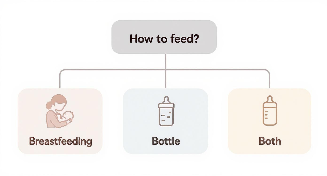 Infographic about best baby products for newborns
