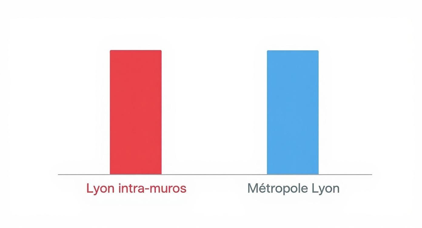 Infographic about population lyon france