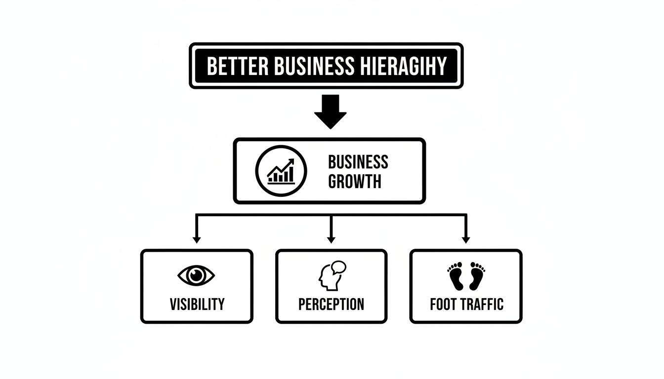 A Guide to LED Lights for Outdoor Signs 1 A black and white flowchart showing business hierarchy for growth, focusing on visibility, perception, and foot traffic.