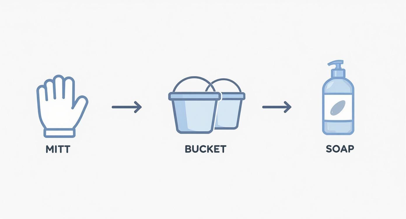 Infographic about ceramic car wash