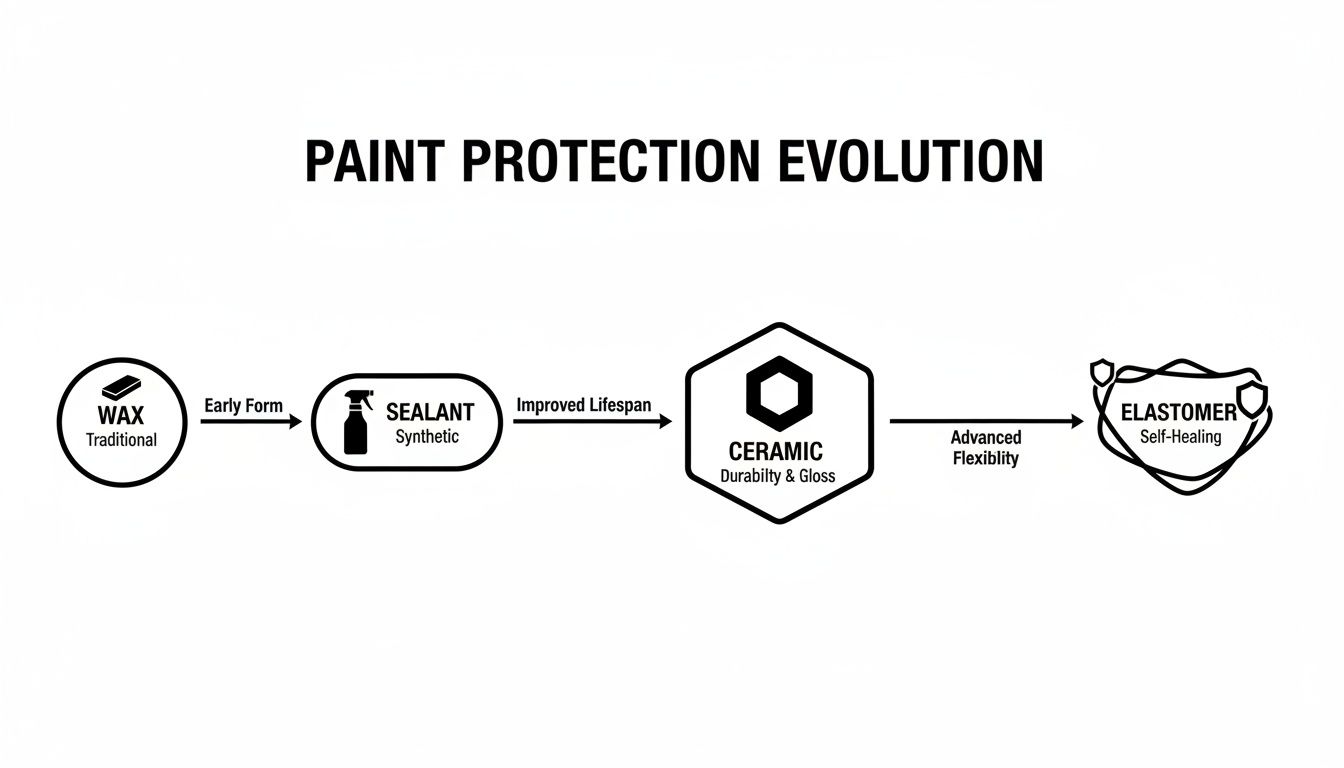Flowchart showing the evolution of paint protection from Wax and Sealant to Ceramic and Elastomer.