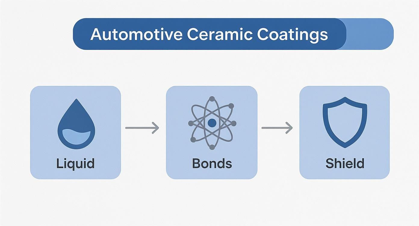 A diagram illustrates the process of automotive ceramic coatings: from liquid application, forming bonds, to creating a protective shield.
