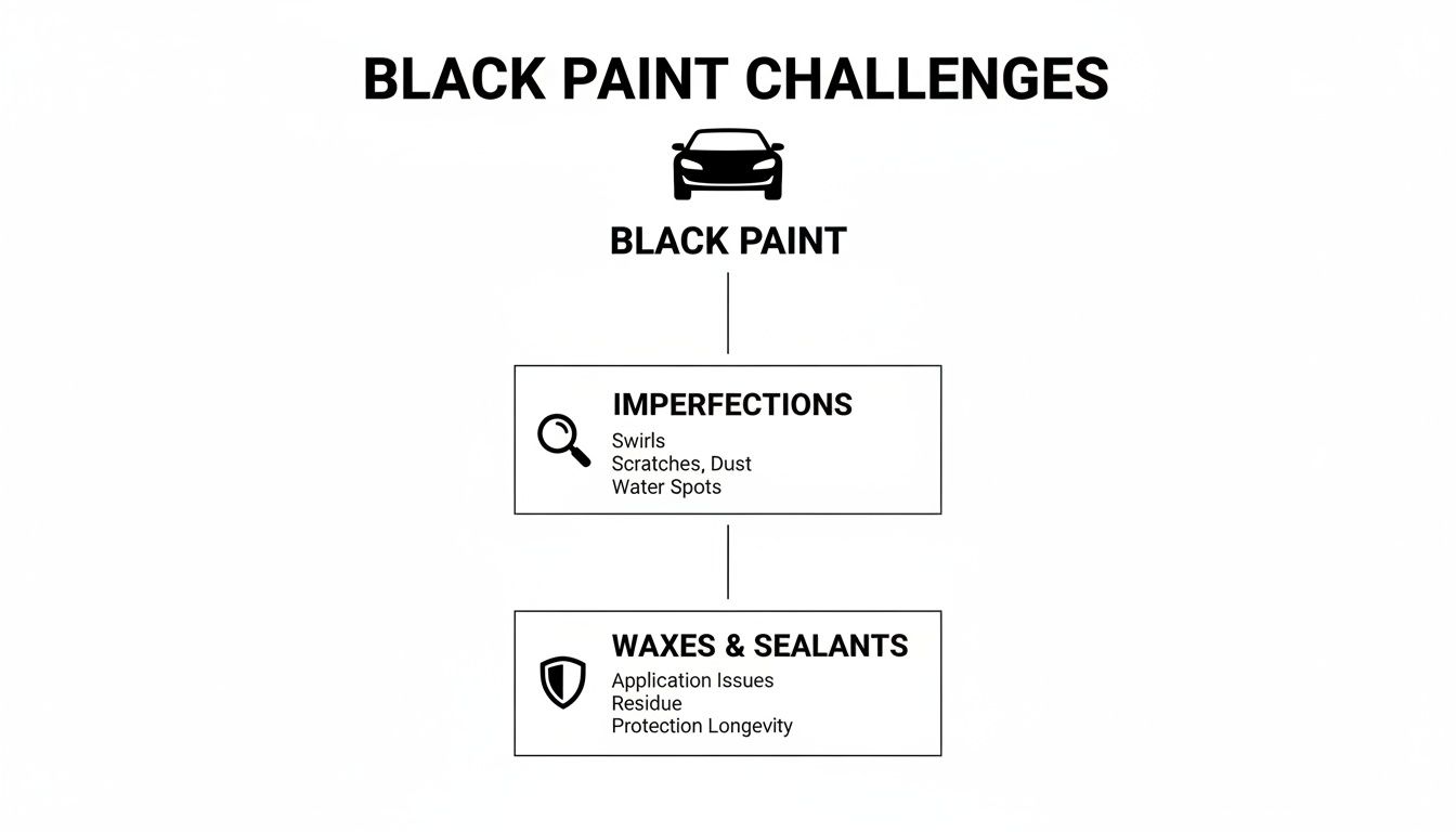 Flowchart illustrating challenges of maintaining black car paint, including imperfections and wax issues.