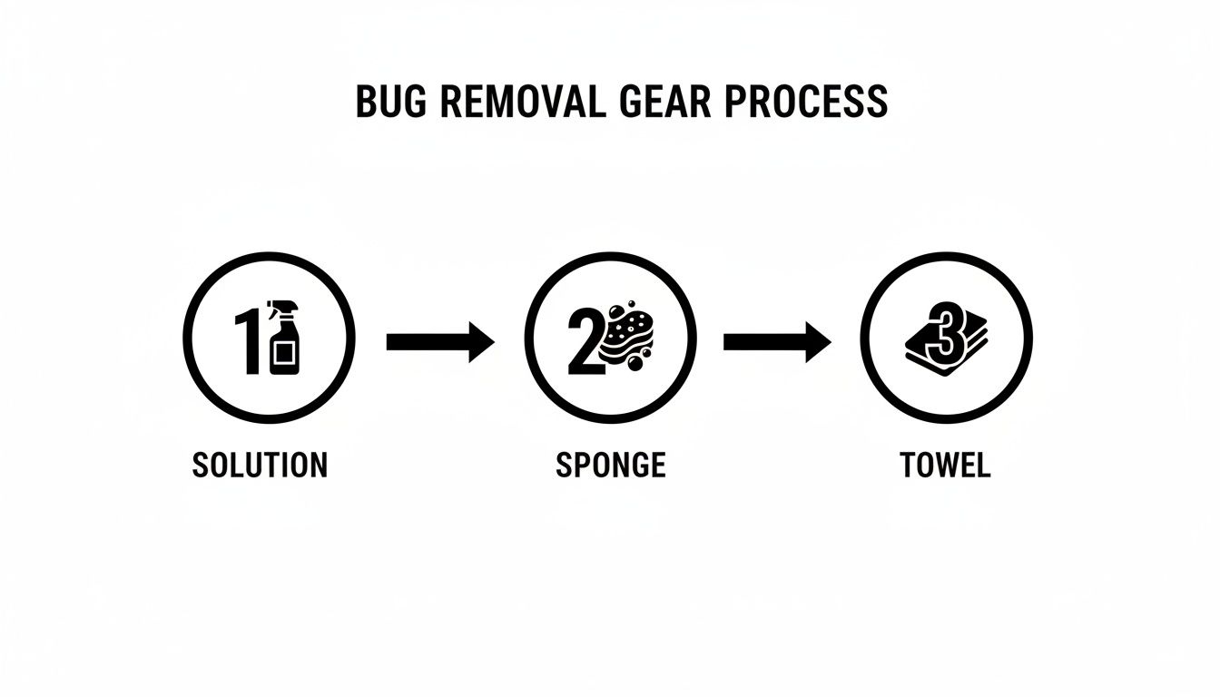 Diagram illustrating a 3-step bug removal process: solution, sponge, and towel.