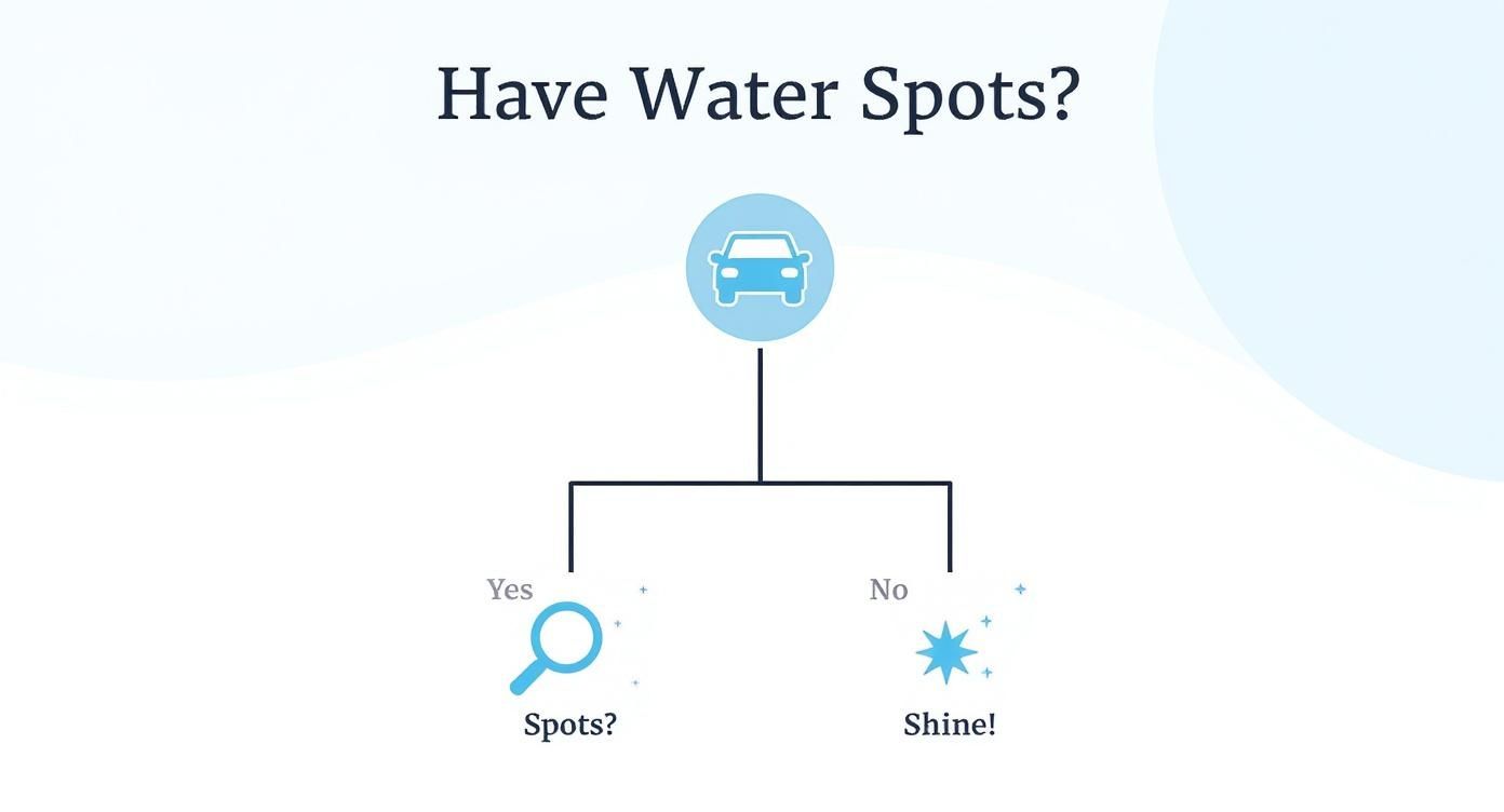 Flowchart asking if a car has water spots, leading to 'Spots?' with a magnifying glass or 'Shine!' with sparkles.