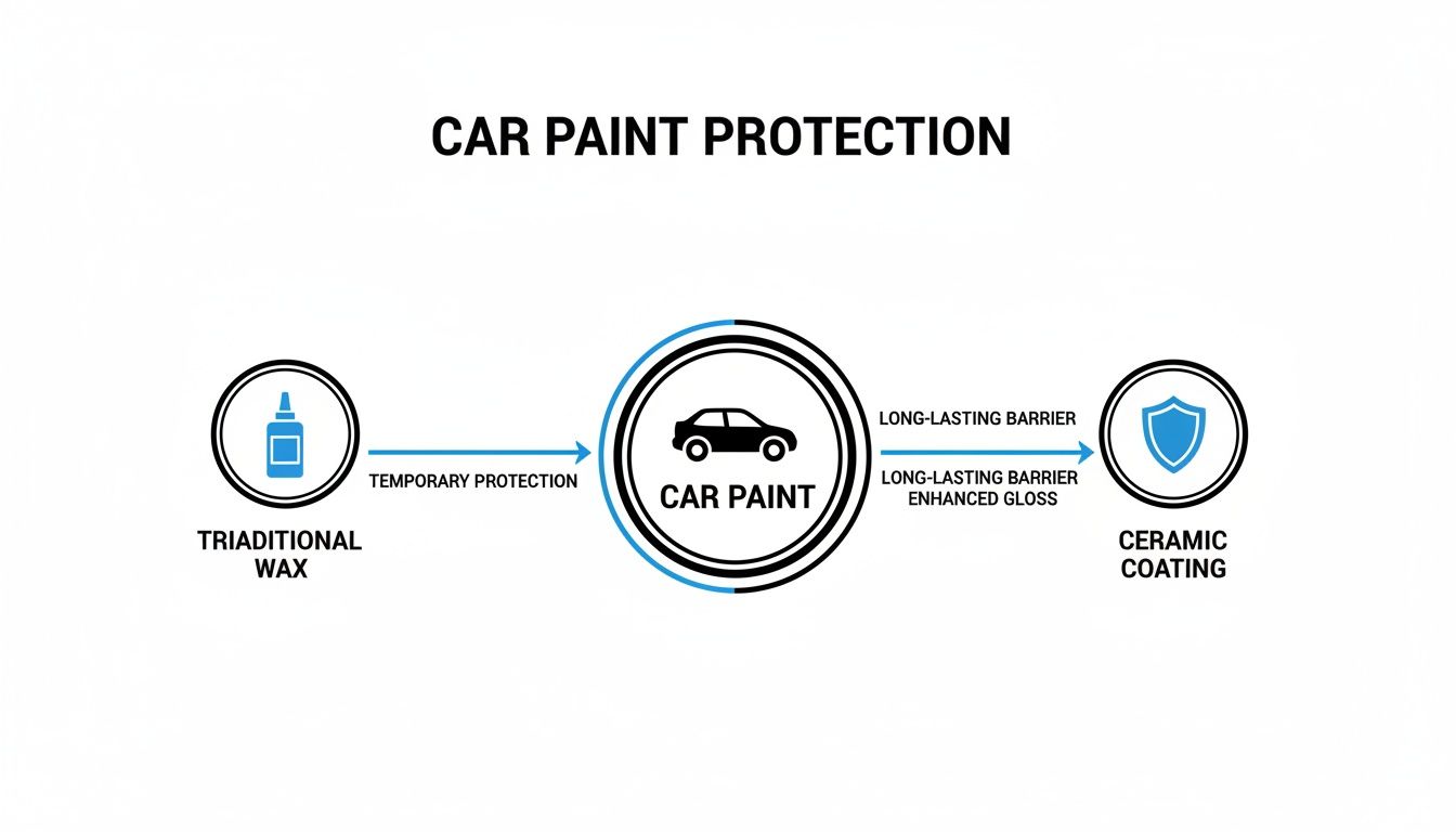 Flowchart comparing traditional wax for temporary car paint protection versus ceramic coating for long-lasting barrier and enhanced gloss.