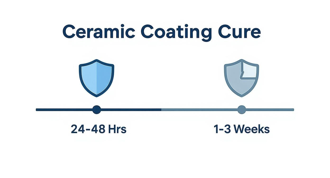 A timeline graphic illustrating ceramic coating cure times, showing initial cure in 24-48 hours and full cure in 1-3 weeks.