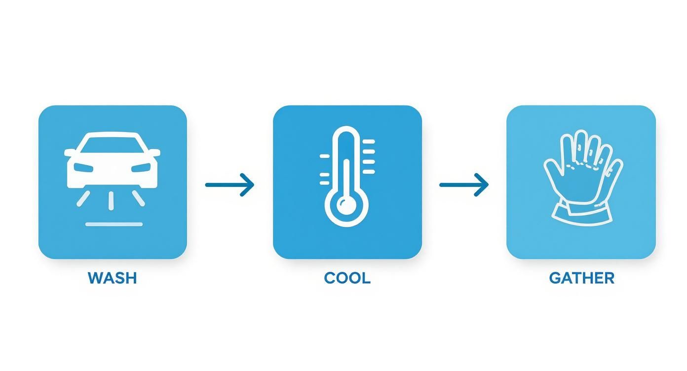 Infographic detailing the iron fallout remover preparation process with icons for washing, cooling the surface, and gathering tools.