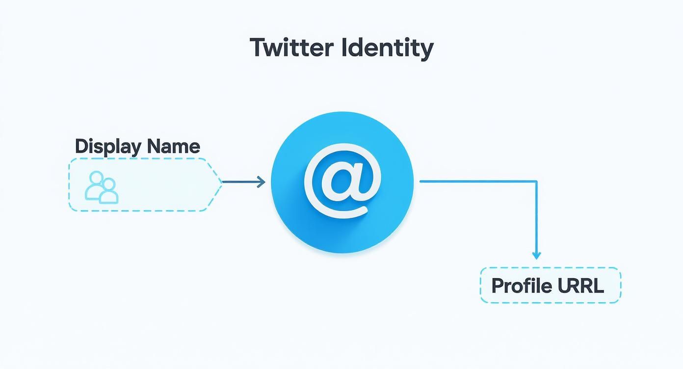 Diagram illustrating Twitter identity: display name links to an @ handle, which connects to a profile URL.