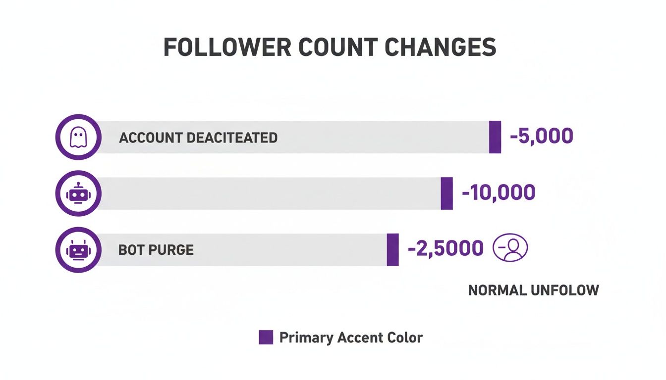 Chart illustrating follower count decreases: -5,000 for account deactivation, -10,000, and -2,500 for bot purges.
