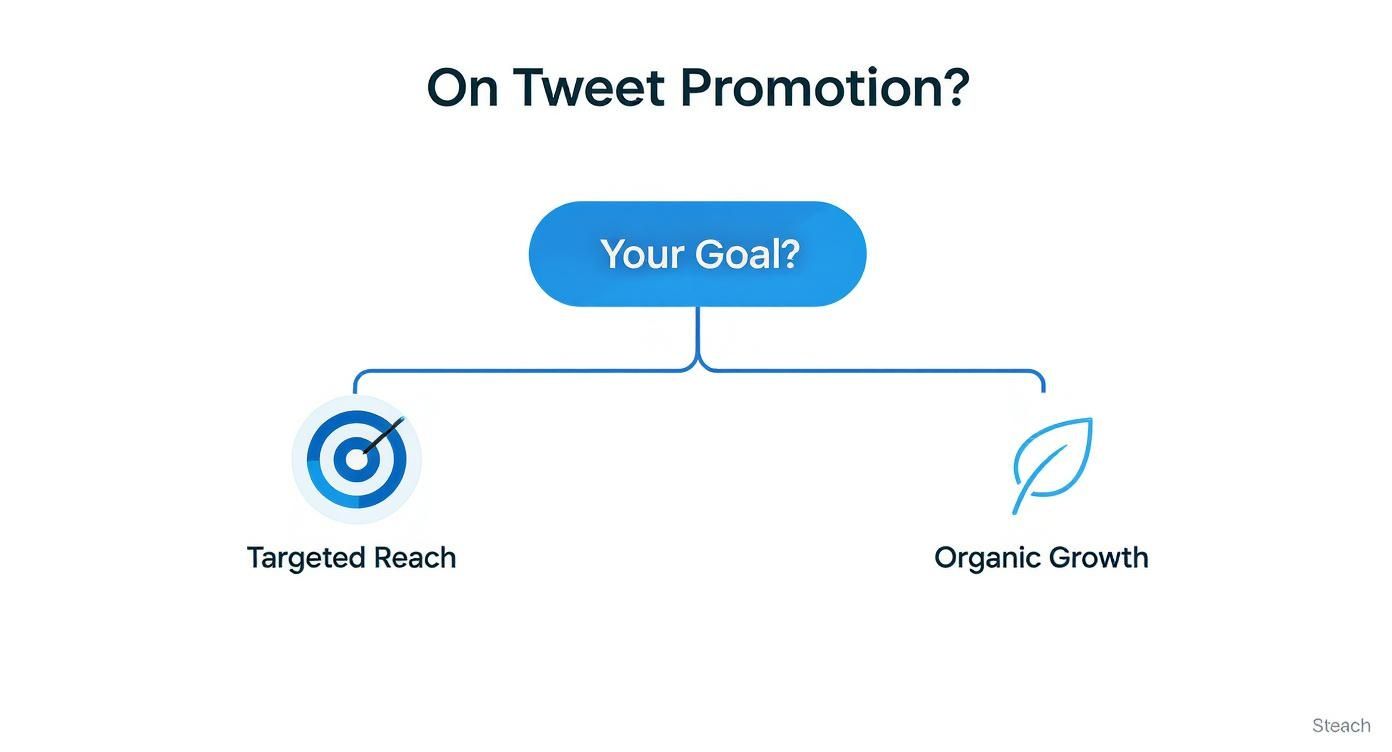 Flowchart showing Twitter tweet promotion strategy with targeted reach versus organic growth goal options
