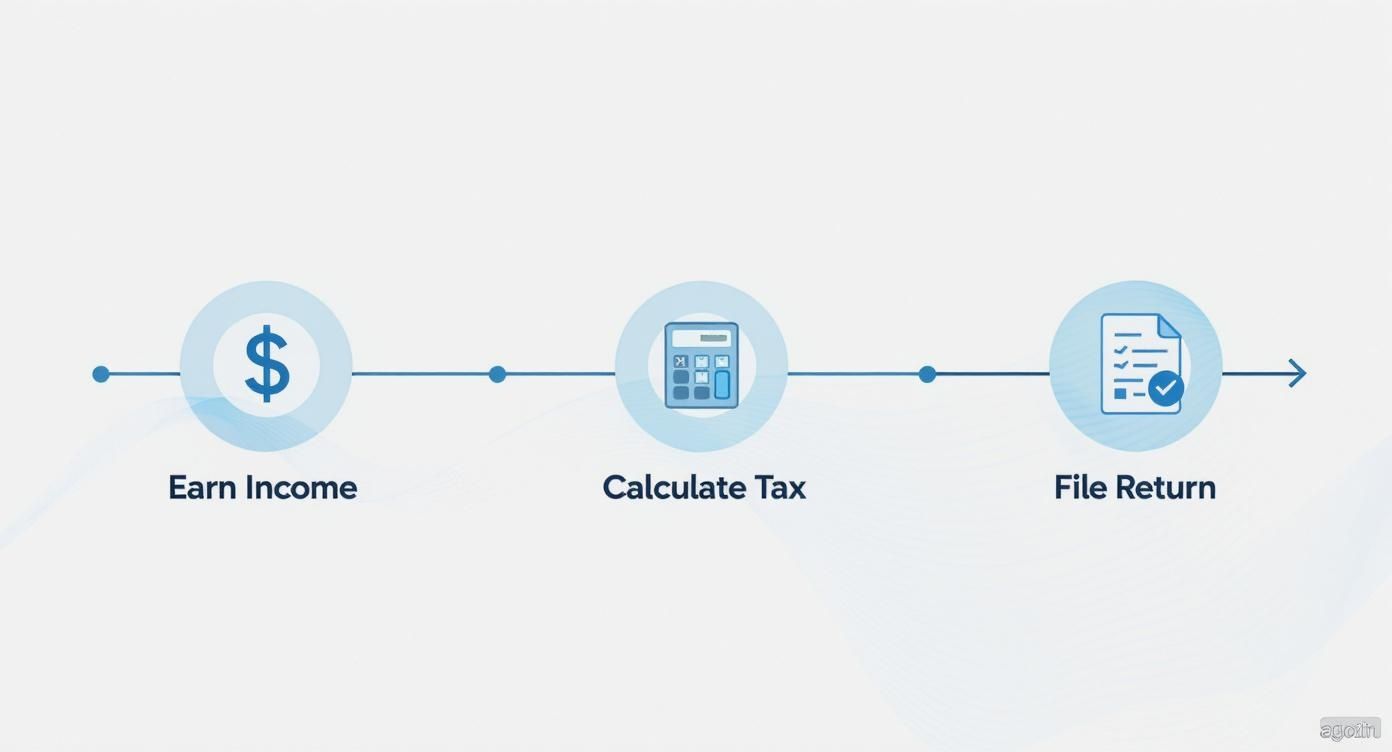 An infographic illustrating three steps of the tax process: Earn Income, Calculate Tax, and File Return.