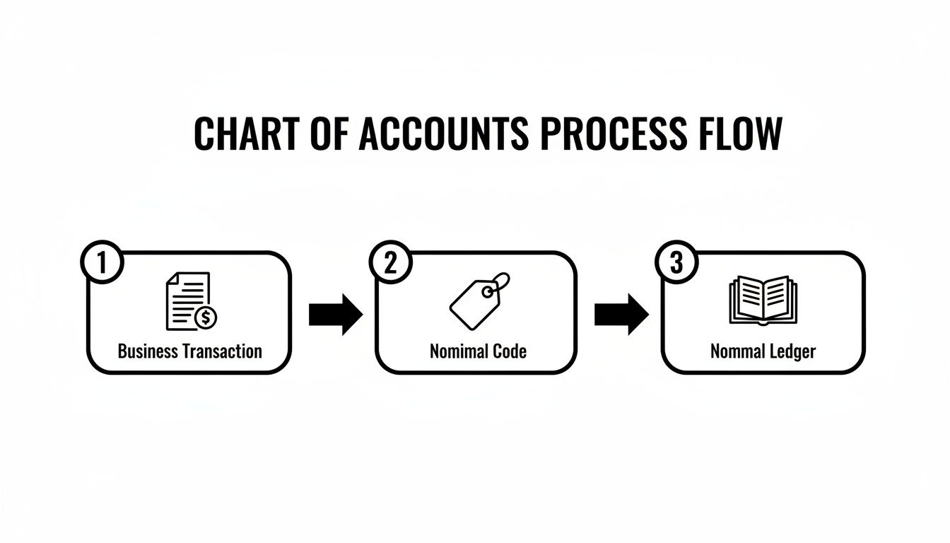 Diagram illustrating the chart of accounts process flow from Business Transaction to Nominal Code to Nominal Ledger.