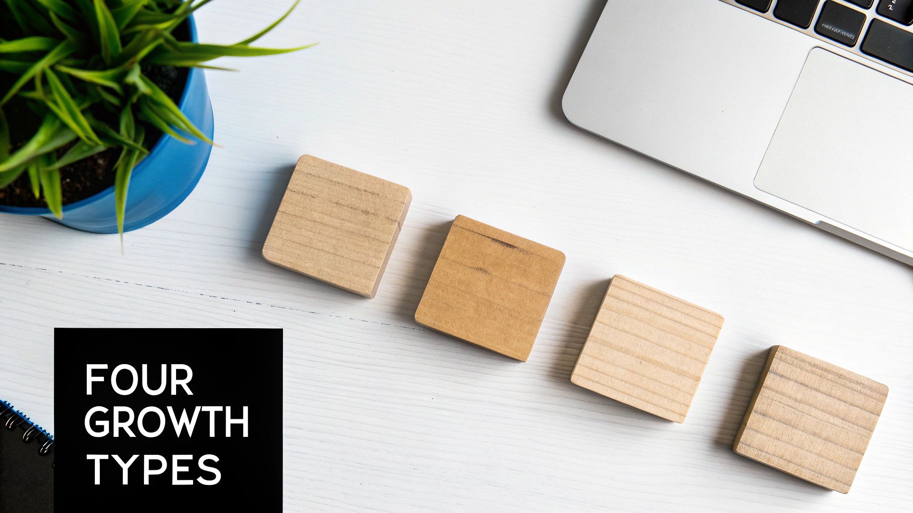 Flat lay of an office desk with a plant, laptop, four wooden blocks, and 'FOUR GROWTH TYPES' text.