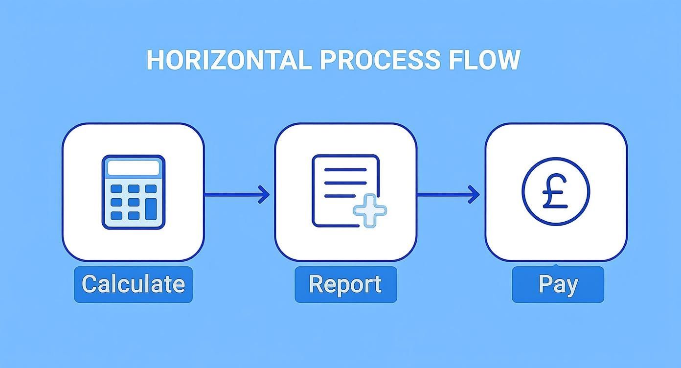 Horizontal process flow diagram showing three steps: Calculate, Report, and Pay with icons