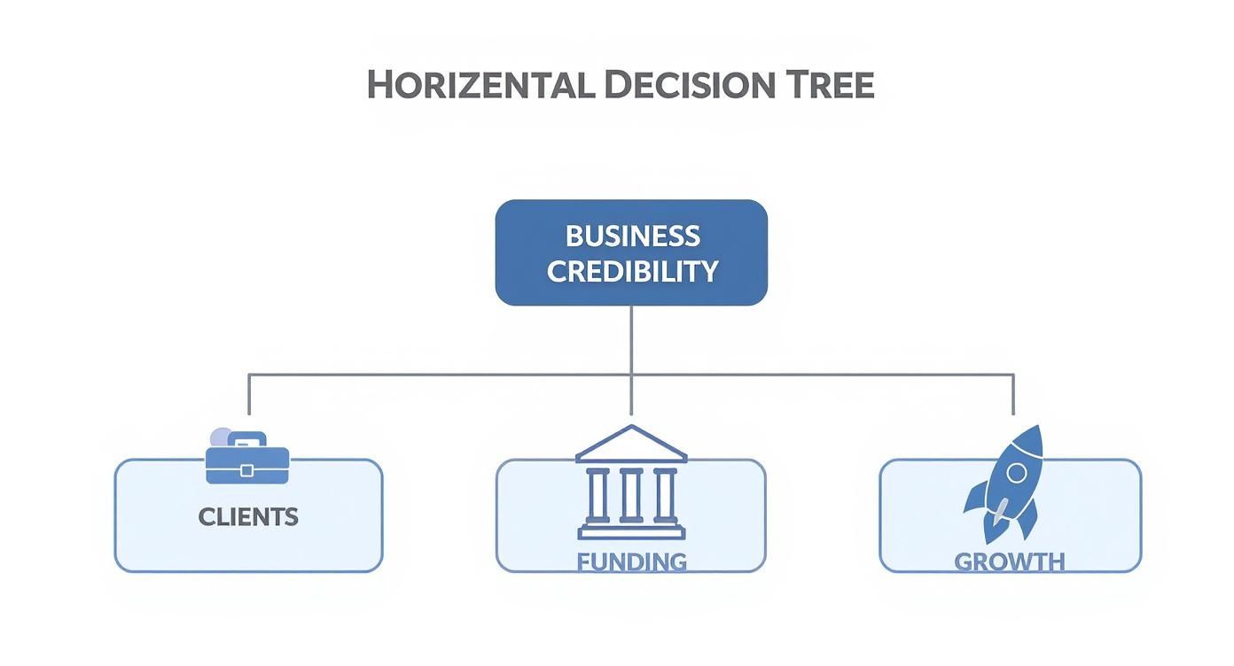 Infographic about sole trader vs limited